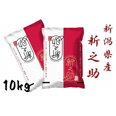 【令和7年産先行受付】新潟産 新之助 10kg(5kg×2袋) 