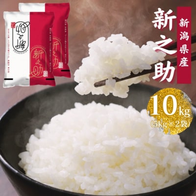 【令和7年産】新潟産 新之助 10kg(5kg×2袋) 