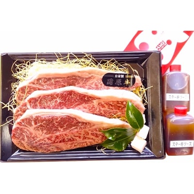 蒲原牛サーロインステーキセット