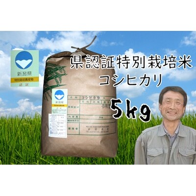 【令和6年産】新潟県認証 特別栽培米 コシヒカリ 5kg
