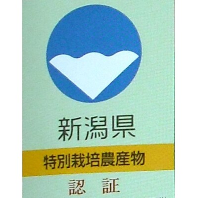 【令和6年産】新潟県認証 特別栽培米 コシヒカリ 5kg