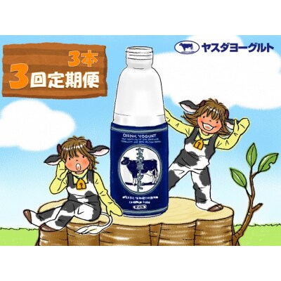【3回定期便 】ヤスダヨーグルト 900g×3本
