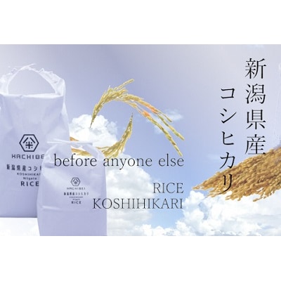 【令和7年産新米】はちみつ農法コシヒカリ 無洗米5kg