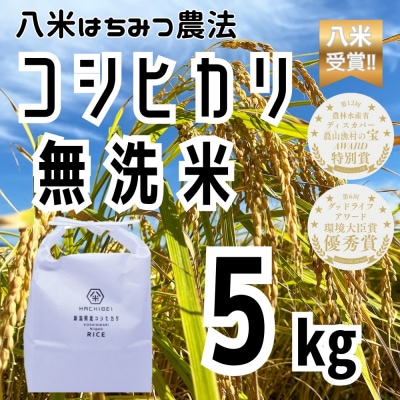 【令和7年産】HACHIBEI 八米 はちみつ農法コシヒカリ 無洗米5kg 