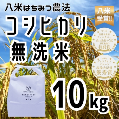 【令和7年産】HACHIBEI 八米 はちみつ農法コシヒカリ 無洗米10kg
