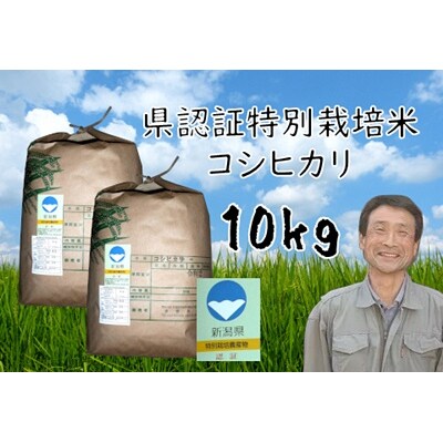 【令和8年産新米先行受付】新潟県認証 特別栽培米 コシヒカリ 10kg
