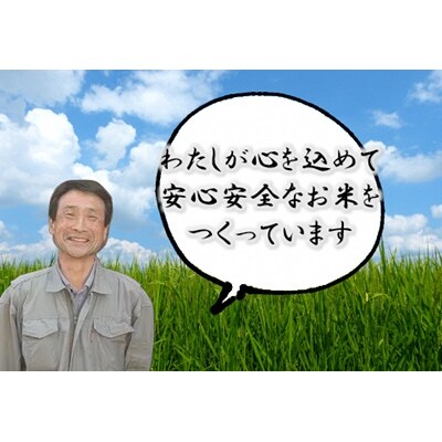 【令和6年産】新潟県認証 特別栽培米 コシヒカリ 10kg