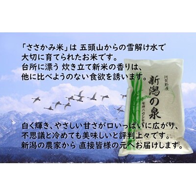 【令和8年産新米先行受付】【新潟産コシヒカリ】 旧笹神村産 新潟の泉 10kg (5kg×2)