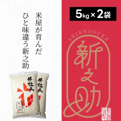【令和8年産新米】米杜氏 阿賀野市産 新之助 10kg