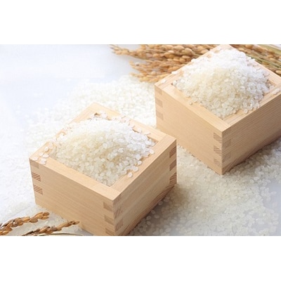 「米屋のこだわり阿賀野市産」嘉右衛門ご飯おまかせ5袋セット