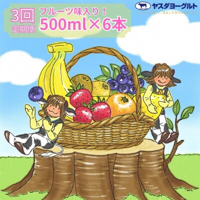 【3ヶ月定期便】ヤスダヨーグルト 500ml×6本 バラエティセット