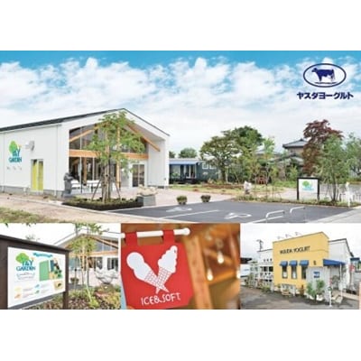 【3ヶ月定期便】ヤスダヨーグルト 500ml×6本 バラエティセット