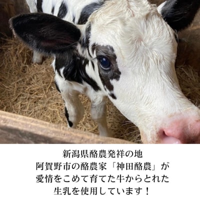 生牛乳クリームジェラート ギフトボックス