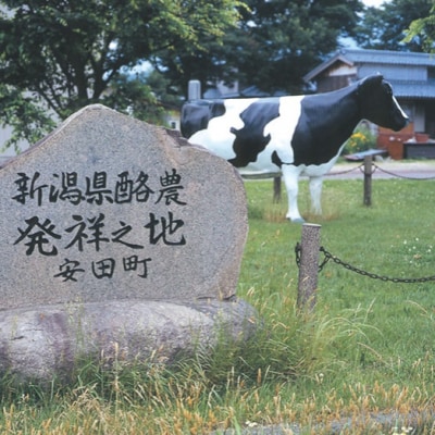 【5ヶ月定期便】ヤスダヨーグルト 500ml×6本 バラエティセット