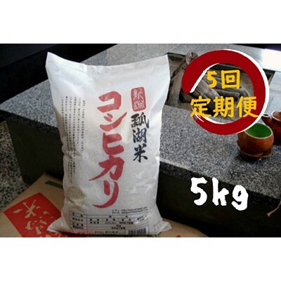 【5回定期便】新潟産 コシヒカリ 瓢湖米 5kg | ふるさと納税のお礼品