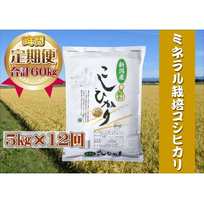 【令和8年産新米先行受付】【12回定期便】ミネラル栽培こしひかり 5kg