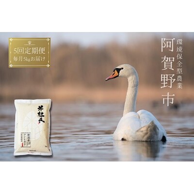 【令和8年産新米】【5回定期便】コシヒカリ5kg×5回　米杜氏 阿賀野市産