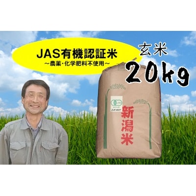 【令和7年産新米】JAS有機認証米 コシヒカリ 玄米 20kg