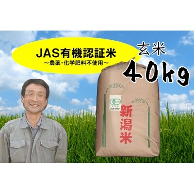 【令和8年産新米先行受付】JAS有機認証米 コシヒカリ 玄米 40kg