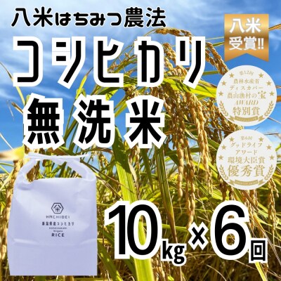 【令和8年産新米先行受付】6ヶ月定期便 八米 はちみつ農法コシヒカリ 無洗米 10kg×6回