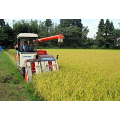 【令和7年産】≪5回定期便≫「風神の舞」阿賀野市産コシヒカリ 10kg