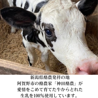 ソフトクリーム「子牛のきもち・ミルク」6個セット
