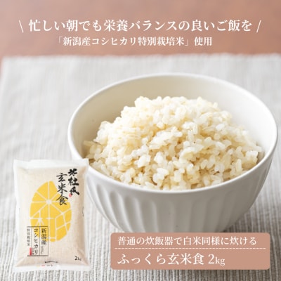 【令和8年産新米】米杜氏 新潟県阿賀野市産 特別栽培米 ふっくら玄米食 2kg