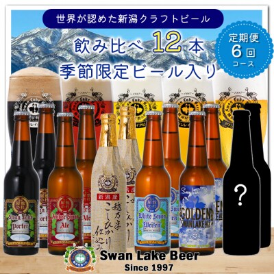 ビール スワンレイクビール 6回定期便 世界一金賞受賞入り 12本セット 阿賀野市 新潟県 阿賀野