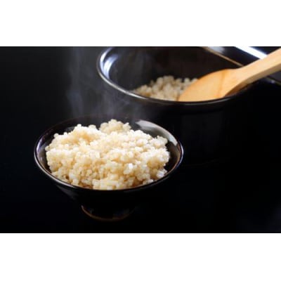 【令和7年産新米先行受付】「米屋のこだわり阿賀野市産」GOZU自然米　玄米2kg×2袋