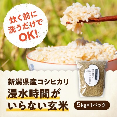 「米屋のこだわり阿賀野市産」GOZU　自然米玄米5kg | ふるさと納税のお礼品