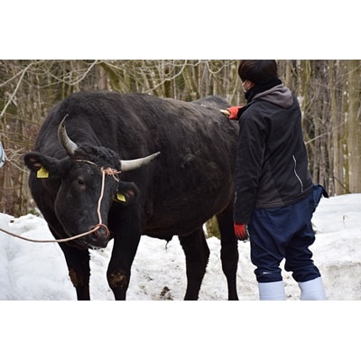 にいがた和牛 サーロインステーキ 250g×3枚 にいがた和牛 黒毛和牛