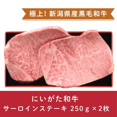 にいがた和牛 サーロインステーキ肉 250g×2枚 にいがた和牛 黒毛和牛