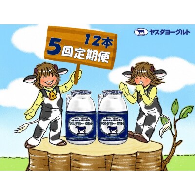 【5回定期便】ヤスダヨーグルト　150g×12本