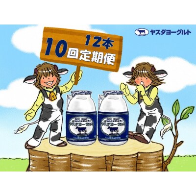【10回定期便】ヤスダヨーグルト　150g×12本