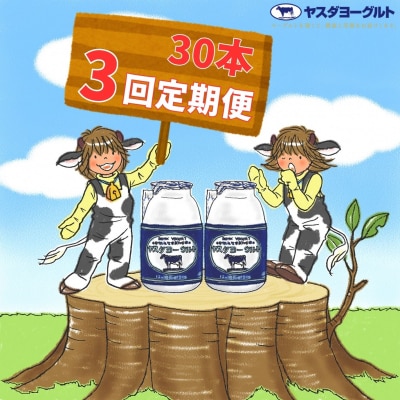 【3ヶ月定期便】ヤスダヨーグルト 　150g×30本