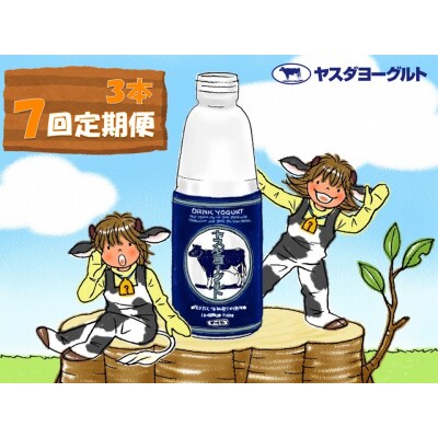 【7回定期便 】ヤスダヨーグルト　 900g×3本