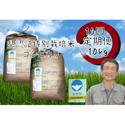 【令和7年産新米】【10回定期便】新潟県認証!特別栽培米 コシヒカリ 10kg