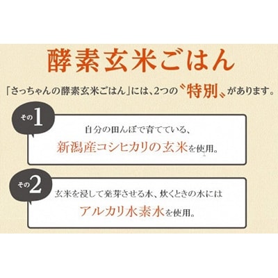 さっちゃんの酵素玄米ごはん「レトルトタイプ」125g×28パック コシヒカリ 3日間熟成