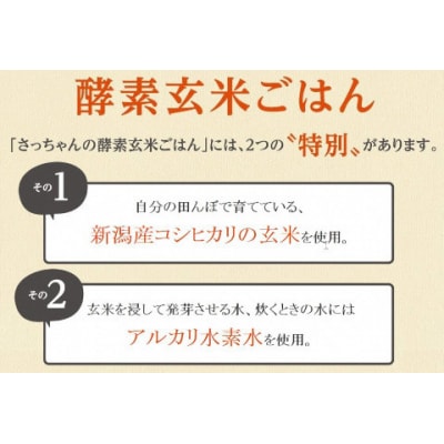 さっちゃんの酵素玄米ごはん「冷凍タイプ」70g×2個×21パック コシヒカリ おにぎり