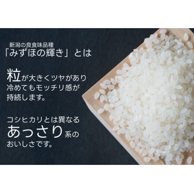 【パックご飯】 新潟県阿賀野市産みずほの輝き 150g×24食