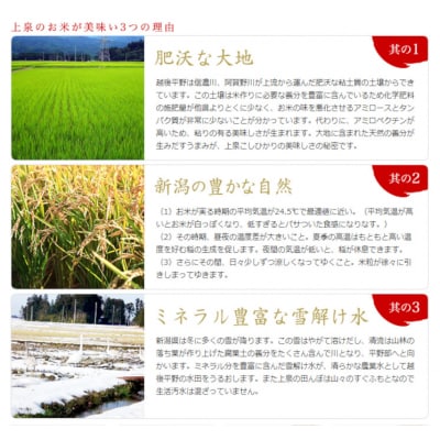 【令和7年産先行受付】旧笹神村産 コシヒカリ 2kg 白米 上泉