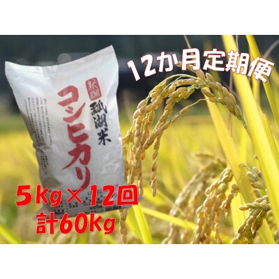 【令和5年産新米】【12ヶ月定期便】新潟産コシヒカリ瓢湖米　5kg×12回
