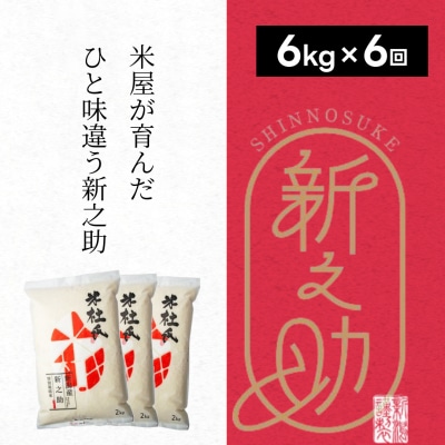 【令和7年産新米】【6ヶ月定期便】米杜氏 阿賀野市産 新之助 6kg (2kg×3袋)×6回