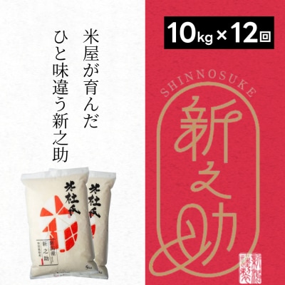 【令和8年産新米】【12ヶ月定期便】米杜氏 阿賀野市産 新之助 10kg (5kg×2袋)×12回