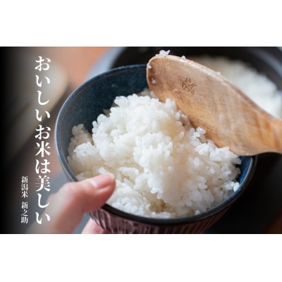 【令和8年産新米】【12ヶ月定期便】米杜氏 阿賀野市産 新之助 10kg (5kg×2袋)×12回