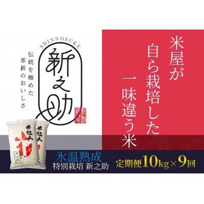 【令和5年産新米】【9ヶ月定期便】米杜氏 阿賀野市産 新之助 10kg (5kg×2袋)×9回