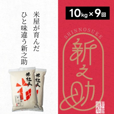 【令和8年産新米】【9ヶ月定期便】米杜氏 阿賀野市産 新之助 10kg (5kg×2袋)×9回