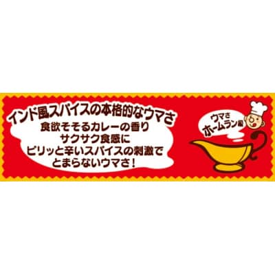 【12/21までの寄附で年内発送】亀田製菓  亀田のカレーせん 15枚×12袋