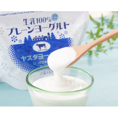 【12/21までの寄附で年内発送】ヤスダヨーグルト パウチタイプA プレーン 600g×4個