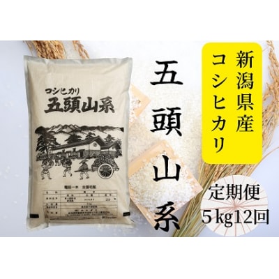 【令和7年産新米】【12回定期便】「米屋のこだわり阿賀野市産」コシヒカリ5kg×12回